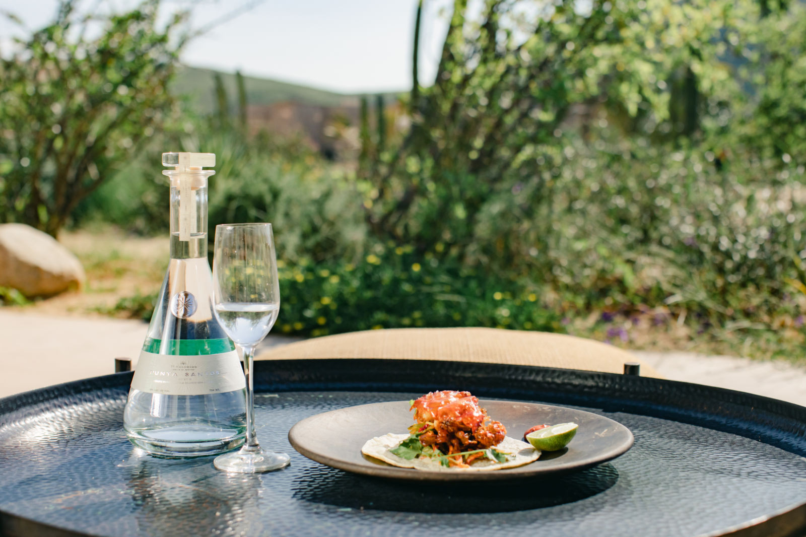 Siping Tequila Liqueur Pairing - Taco de Almeja | Frita Guacamole | Salsa Verde | Jengibre