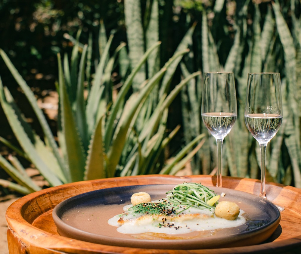 Siping Tequila Liqueur Pairing - Pesca del Día Chile Atole | Pepino | Haba Verde | Chochoyota