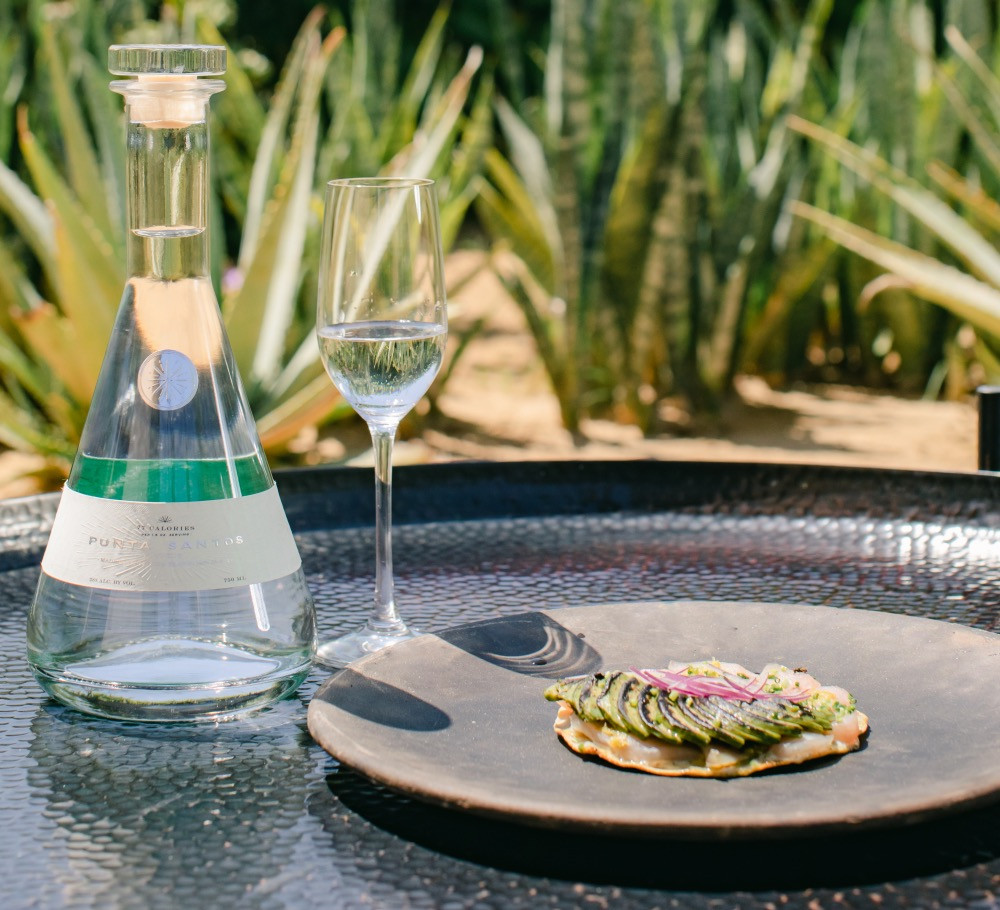 Siping Tequila Liqueur Pairing - Tostada de Pez Crudo Kosho | Mayonesa de Orégano | Aguacate Quemado