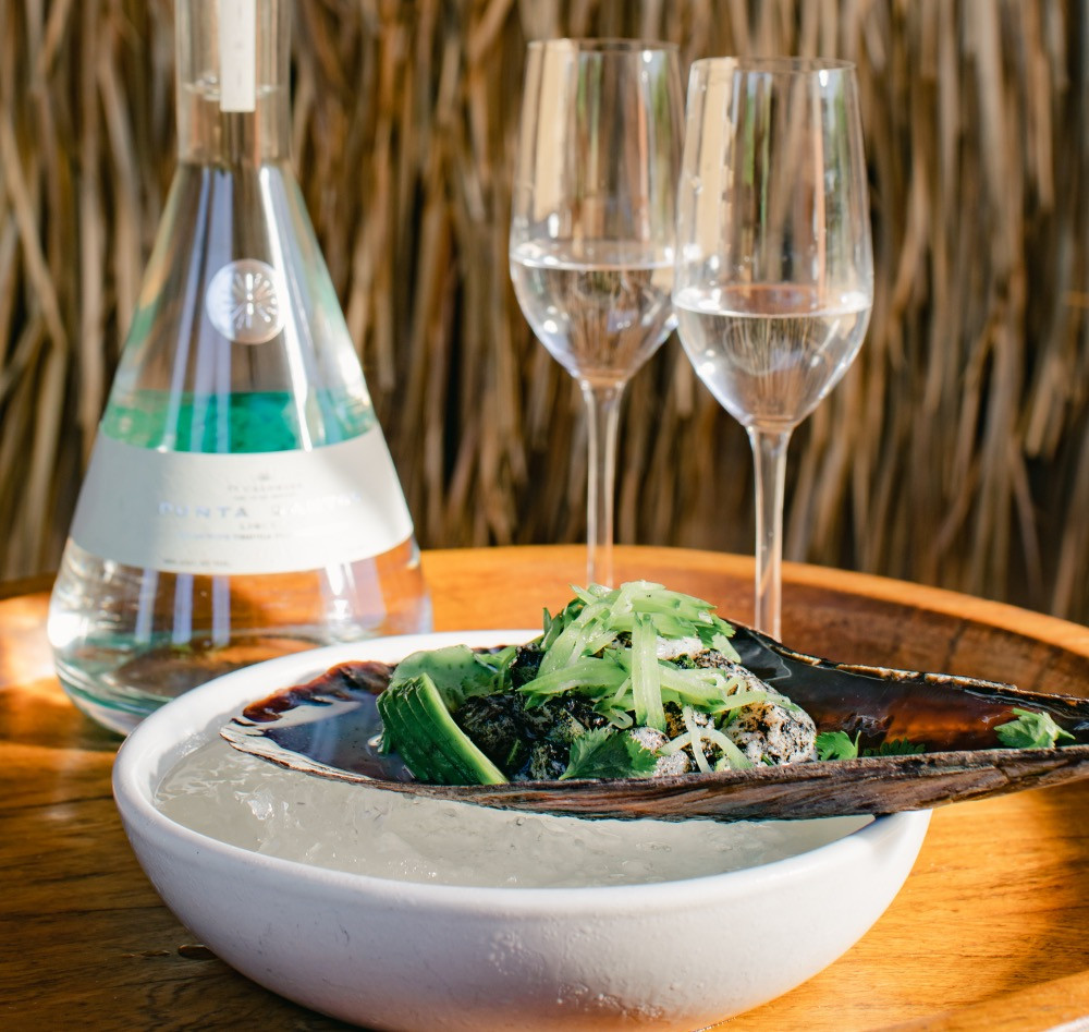 Siping Tequila Liqueur Pairing - Aguachile de Callo Albahaca & Hoja Santa | Aguacate | Cenizas de Habanero