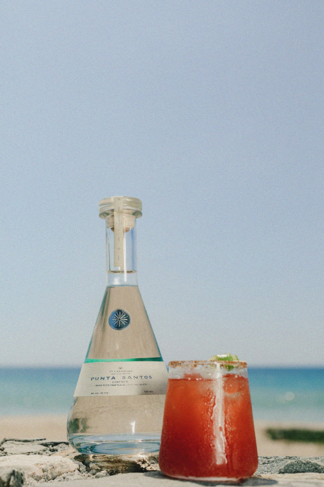 Tequila Drinks Recipes Skinny Vampiro Tequila Drink Punta Santos